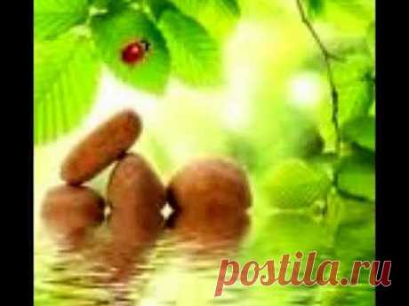 Relaxing Music I - YouTube