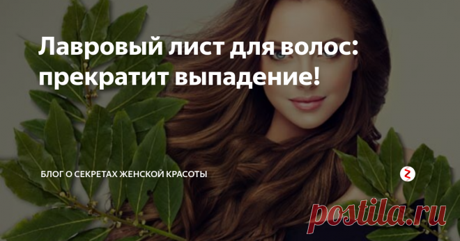 Лавровый лист для волос: прекратит выпадение! Лавровый лист для волос полностью решит проблему выпадения  и даст толчок к росту новых! Эта ароматная специя поможет в борьбе с перхотью, восстановит структуру волос и  устранит ломкость, предупредит появление седины. 
Узнайте уникальные рецепты со знакомой всем «лаврушкой».

