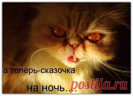 Смайлики и анимашки. В Кругу Друзей — социальная сеть