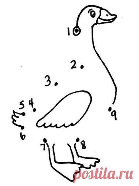 Соедини точки