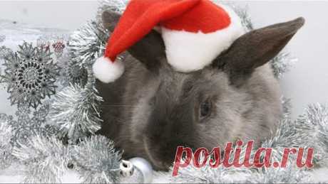 RK наступающим НОВЫМ ГОДОМ 🎄 Красивое Новогоднее видео поздравление ☃️ НОВЫЙ 2022 ГОД