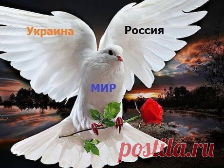 Судьба Украины в пророчествах Старцев. | &quot;БЫТЬ РУССКИМ-ЗНАЧИТ БЫТЬ ПРАВОСЛАВНЫМ&quot; | Группы Мой Мир