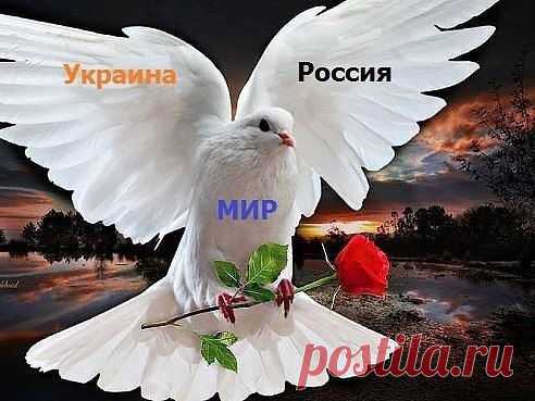 Судьба Украины в пророчествах Старцев. | "БЫТЬ РУССКИМ-ЗНАЧИТ БЫТЬ ПРАВОСЛАВНЫМ" | Группы Мой Мир