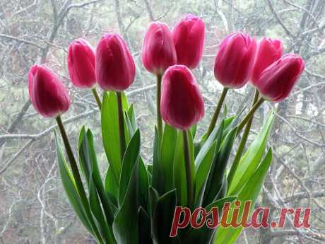 Google+