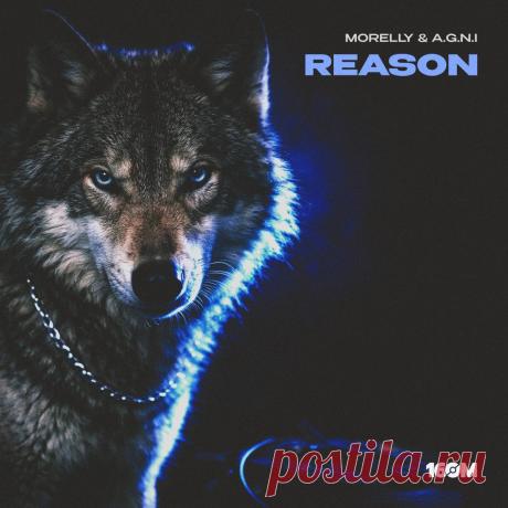 VIP - Morelly, A.G.N.I - Reason | DJ | SoundMasters | Service