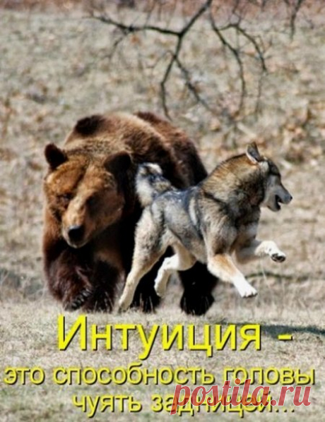 Уфф!!! Ну наконец-то! Котоматрицы великолепные, каждая с улыбкой, позитивом и хорошим настроением!