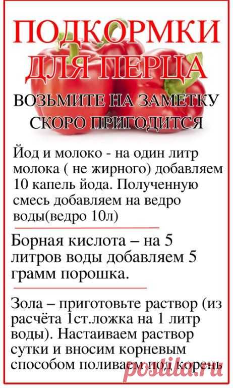 БАБУШКИНЫ СЕКРЕТЫ - Заметки | OK.RU
