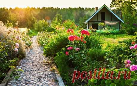 Как быстро и недорого сделать садовые дорожки: секреты профи | kitchendecorium.ru | Пульс Mail.ru Гравий, кирпич или тротуарная плитка? Вместе с экспертами разбираемся, какой материал подойдет лучше и как сделать дорожки, если нет большого...