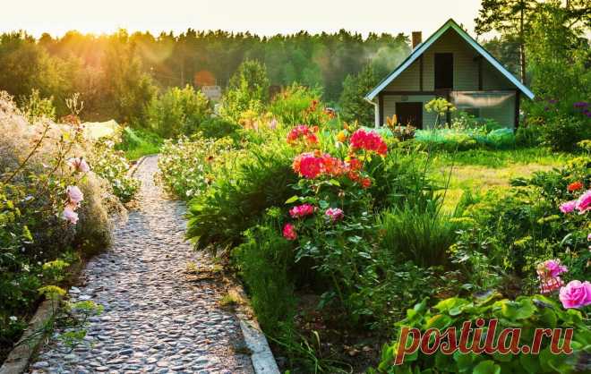 Как быстро и недорого сделать садовые дорожки: секреты профи | kitchendecorium.ru | Пульс Mail.ru Гравий, кирпич или тротуарная плитка? Вместе с экспертами разбираемся, какой материал подойдет лучше и как сделать дорожки, если нет большого...