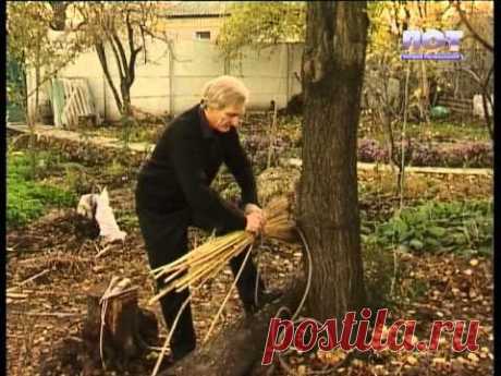 Удачи на даче. Органическое земледелие. 10.11.2013