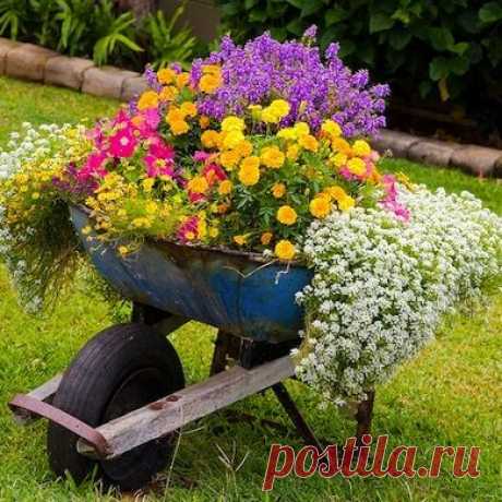 (1) Pinterest • Всемирный каталог идей