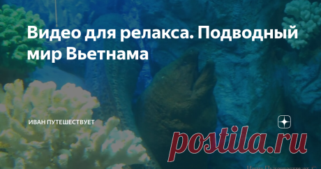 Видео для релакса. Подводный мир Вьетнама