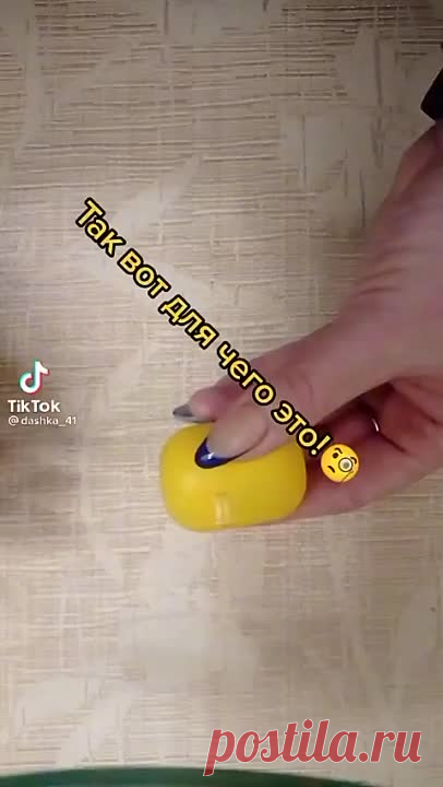 VID-20211208-WA0009.mp4
