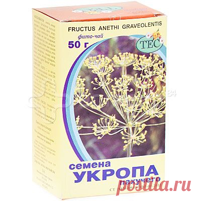 Семена укропа: свойства, польза и лечебное применение