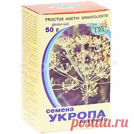 Семена укропа: свойства, польза и лечебное применение