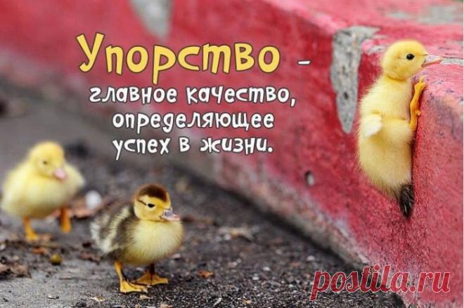 Вам Нужны Деньги? Вы Ищете Работу? 
И То И Другое Можно Получить Легко! 
Бизнес С Удовольствием Не Выходя Из 
Дома! 
Один Раз Вы Его Запускаете, 
И Затем Он приносит доход  Ежемесячно!!! 
Отлично Подходит Всем У Кого Есть Интернет! 
Проверено, Работает На 100%! Нужны Доказательства? Пишите. 
http://zy4zy.blogspot.com/