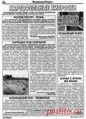 Картофельные хитрости