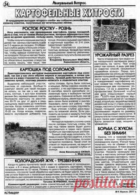 Картофельные хитрости