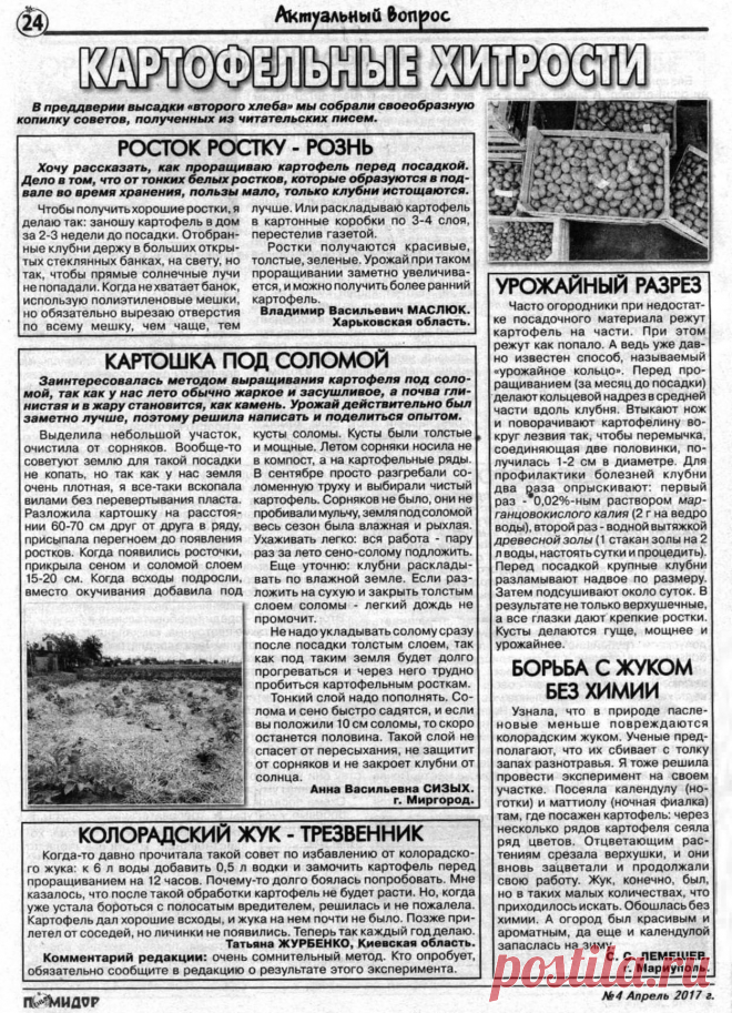 Картофельные хитрости
