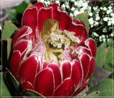 0_3522a_28ce6b33_L.gif.jpg (500×430)