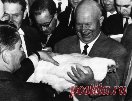 Мир 50 лет назад | чёрно белый нюанс