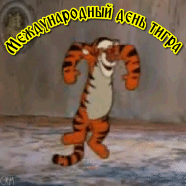 Гифки с международным днём тигра скачать бесплатно