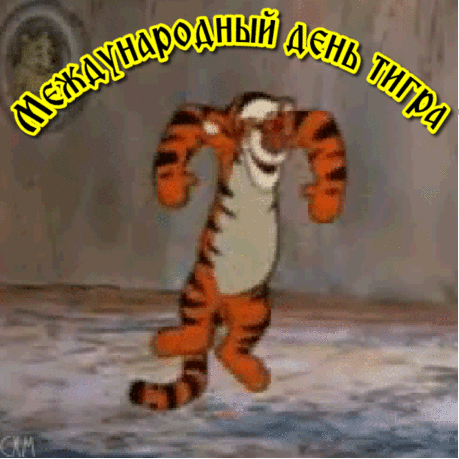 Гифки с международным днём тигра скачать бесплатно