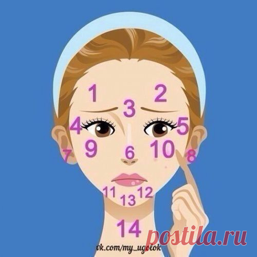 Расположение высыпаний на лице, на какие органы обратить внимание: