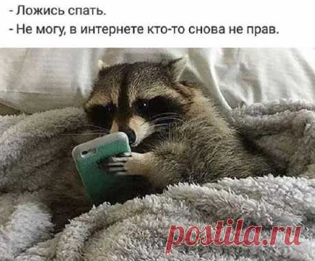 Классный юмор: 22 картинки с анекдотами и шуточками, чтоб насмеяться от души! Классный юмор: 22 картинки с анекдотами и шуточками, чтоб насмеяться от души!
В серый холодный осенний день ничто не бодрит так хорошо, как чашка ароматного кофе и порция свежего юмора. Мы подобрали д…