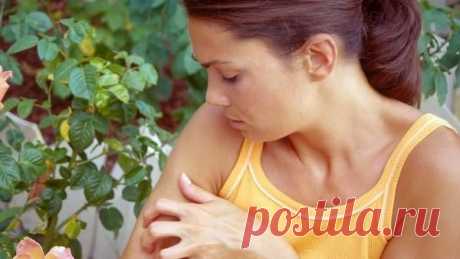 Народные средства при лечении дерматита