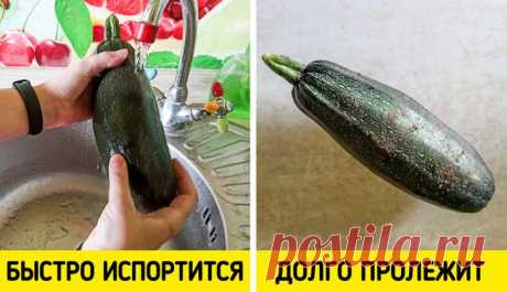 Лайфхаки по хранению продуктов / Домоседы