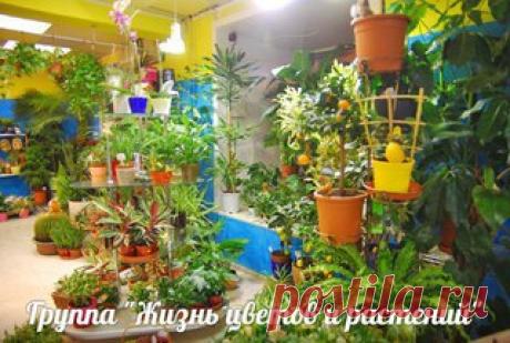 Мои закладки