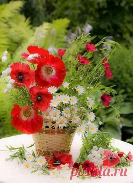 https://i.pinimg.com/564x/3d/40/5c/3d405ca625ddf2d9bf3c4aaa422b467c.jpg