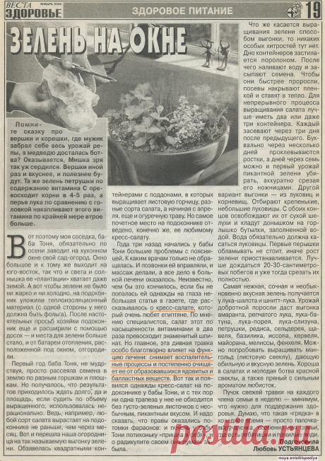 Зелень на окне