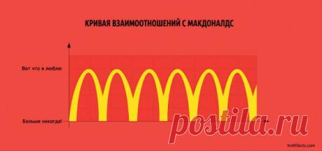 30 интересных фактов про нашу жизнь | Среда обитания