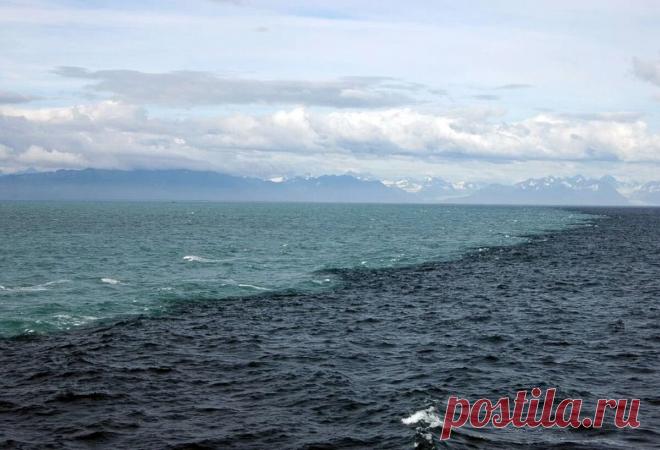 Почему воды Тихого и Атлантического океана не смешиваются | Информация из космоса 🚀 | Дзен