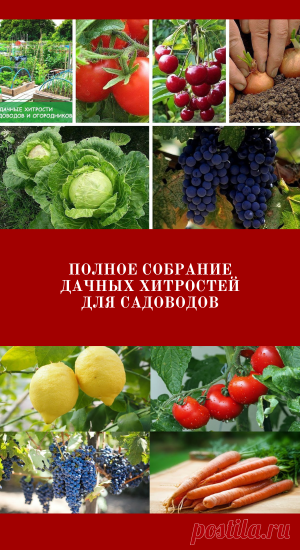 Полное собрание дачных хитростей для садоводов!