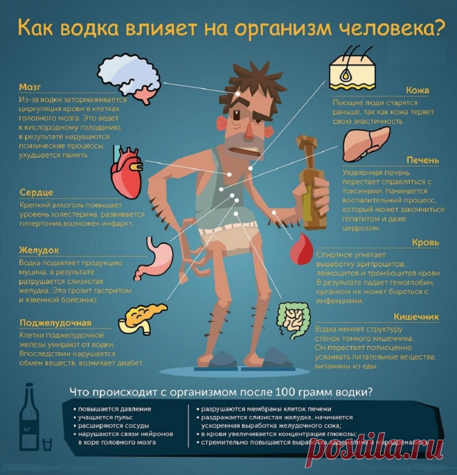 Почему не стоит пить водку в пожилом возрасте после 60 лет. Объясняю на пальцах | ПИВКО И РЫБКА | Дзен