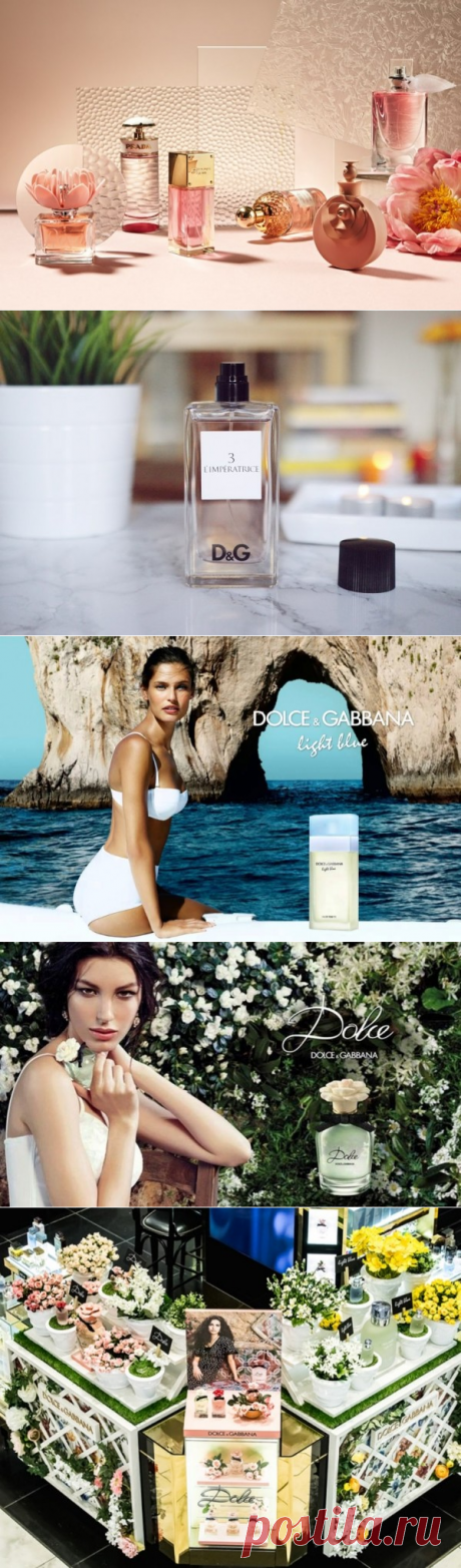 Встречайте ароматы весны для женщин от Dolce &amp; Gabbana - новости Италии
