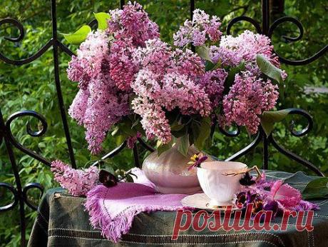 &quot;Доброе утро!&quot; cкажешь кому-то и будет ему очень доброе утро. И день будет добрый, и добрые встречи, и добрый, конечно, опустится вечер. Как важно и нужно, чтобы всегда друг другу желали мы только добра!