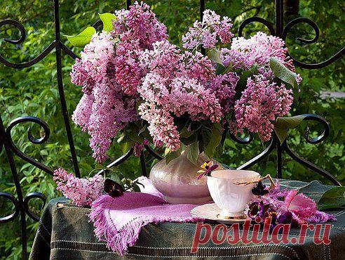 "Доброе утро!" cкажешь кому-то и будет ему очень доброе утро. И день будет добрый, и добрые встречи, и добрый, конечно, опустится вечер. Как важно и нужно, чтобы всегда друг другу желали мы только добра!