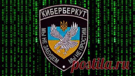 КиберБеркут получил доступ к секретным документам Управления СБУ в Донецкой области | БАЗА 211- ВОЕННАЯ ИСТОРИЯ