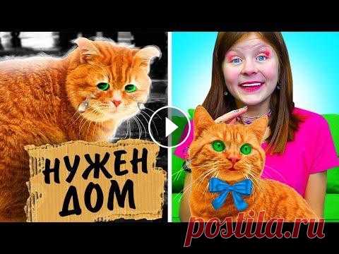 Как Переделать Школу в Приют для Животных? || Веселые Ситуации с Друзьями Как Переделать Школу в Приют для Животных? || Веселые Ситуации с Друзьями Instagram...