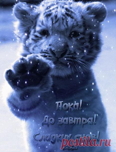 18.05.15+-+1 (412×541)