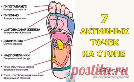 Одноклассники