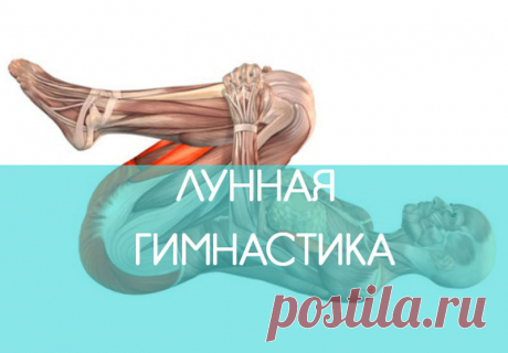 Лунная гимнастика: базовые упражнения для здорового позвоночника | Всегда в форме!