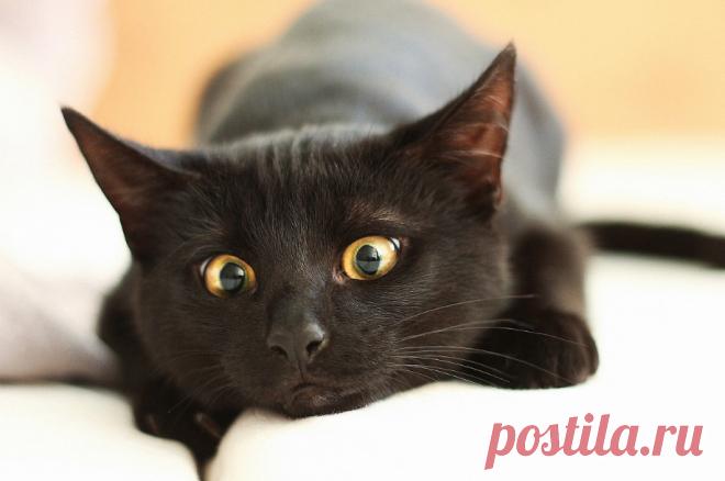 Так, насовсем ушел один друг...(история из сети) &raquo; Женский Мир