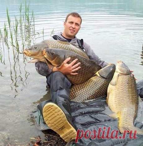 Картинка дня - супер рыбак