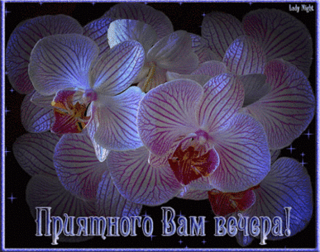 (12) Мой Мир@Mail.Ru