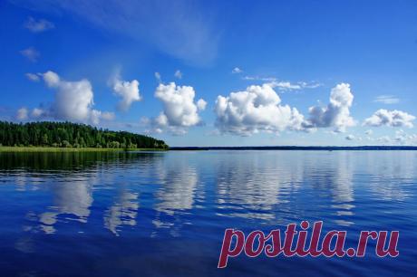 Atachenka — «Чередой они летели...» на Яндекс.Фотках